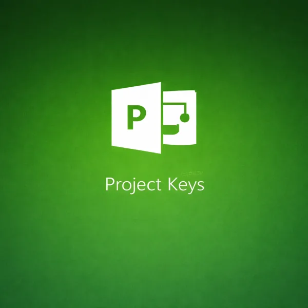 Microsoft Project 2016 Professional License Key [Instant Delivery] product image